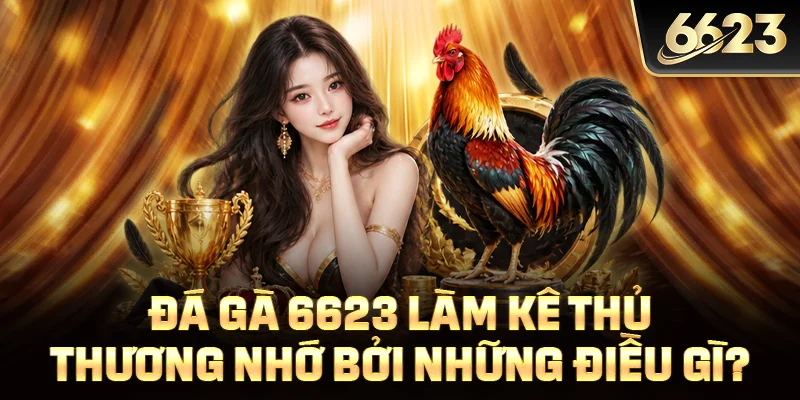Đá gà 6623 làm kê thủ thương nhớ bởi những điều gì?