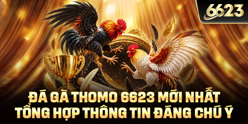 Đá Gà Thomo 6623 Mới Nhất: Tổng Hợp Thông Tin Đáng Chú Ý