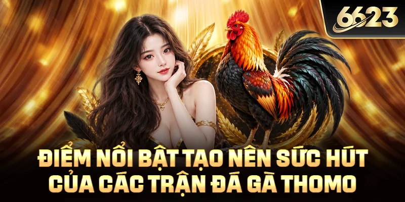 Điểm nổi bật tạo nên sức hút của các trận đá gà Thomo