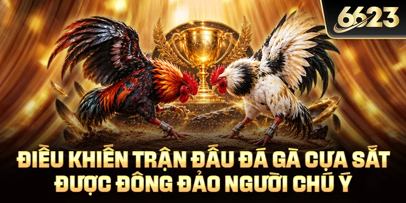 Điều khiến trận đấu đá gà cựa sắt được đông đảo người chú ý