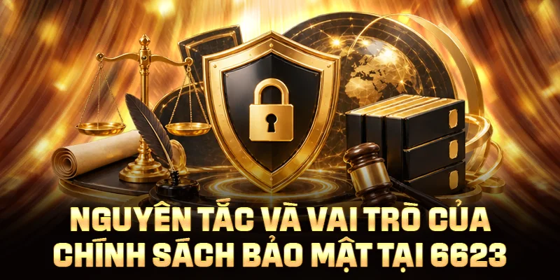 Nguyên tắc và vai trò của chính sách bảo mật tại 6623