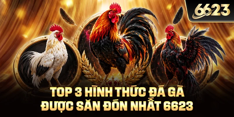 Top 3 hình thức đá gà được săn đón nhất 6623